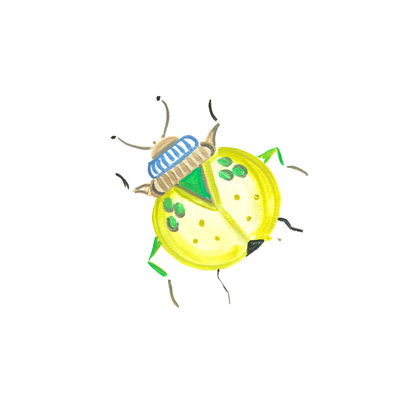 Image Not Available